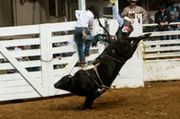 2014 Stock Show Rodeo-123