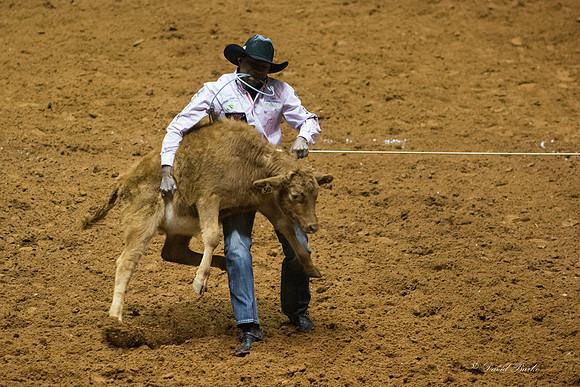 2014 Stock Show Rodeo-73