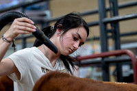 Stock Show 2019-15