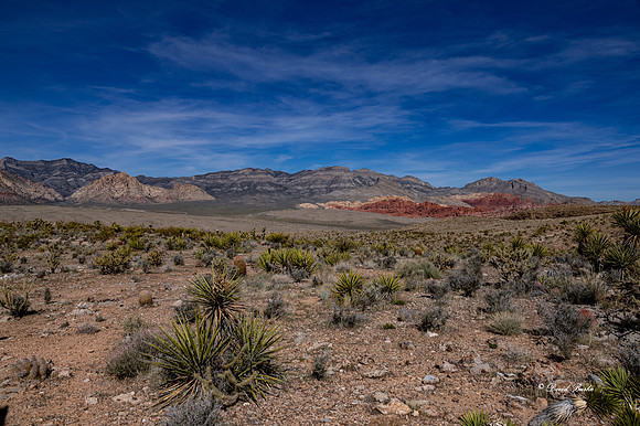 Las Vegas 2020-50
