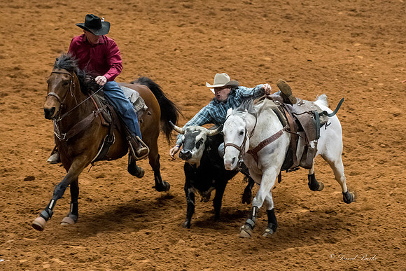 Stock Show 2018-12