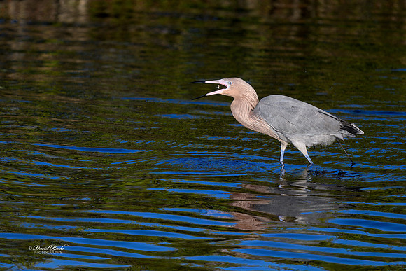 _NZ81300-Edit-2