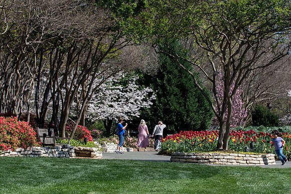 Dallas Arboretum 3-20-17-12
