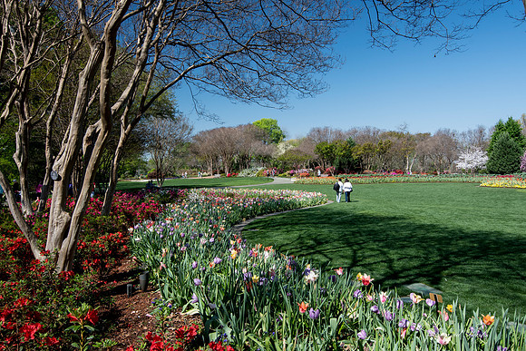 Dallas Arboretum 3-20-17-39