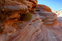 Valley of Fire SP Oct 2020-113