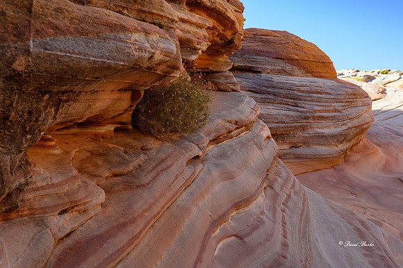 Valley of Fire SP Oct 2020-113