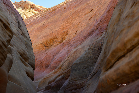 Valley of Fire SP Oct 2020-123