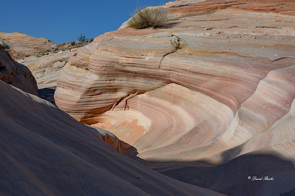 Valley of Fire SP Oct 2020-124