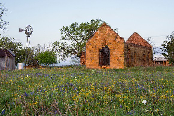 Bluebonnets Llano 2016-32