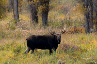 _DSC9102-Edit
