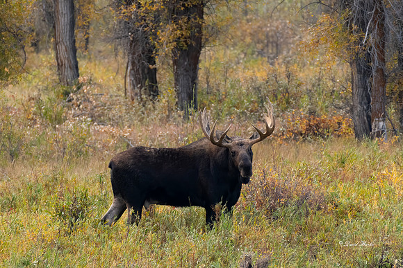 _DSC9102-Edit
