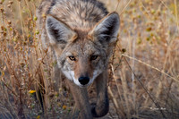 _DSC9373-Edit