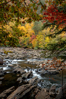 Fall 2018-267