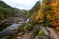 Fall 2018-228