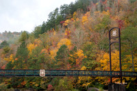 Fall 2018-230