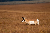 _DSC8648-Edit