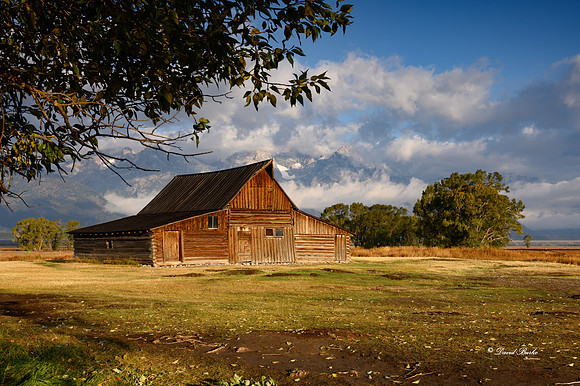 _NZ61729-Edit