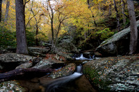 Fall 2018-247
