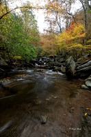 Fall 2018-238