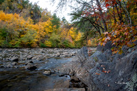 Fall 2018-263