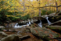 Fall 2018-244