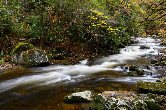 GSMNP 2021-69