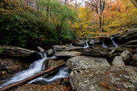 Fall 2018-242