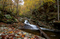 Fall 2018-252