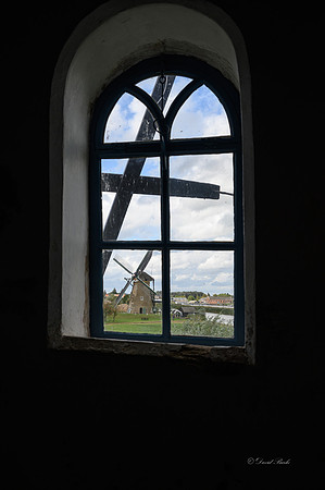 Kinderdijk 2021-13