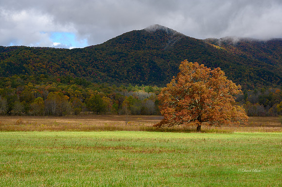 GSMNP 2021-41