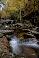 Fall 2018-250