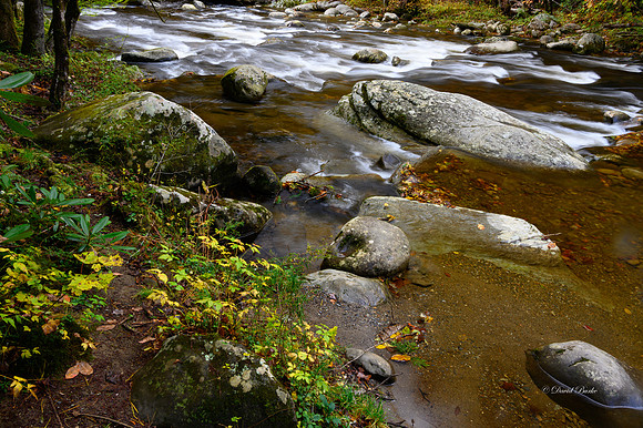 GSMNP 2021-48