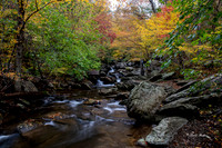 Fall 2018-236