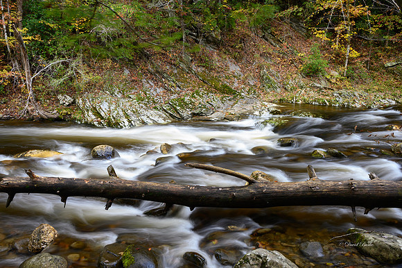GSMNP 2021-56