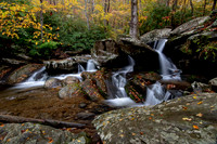 Fall 2018-248
