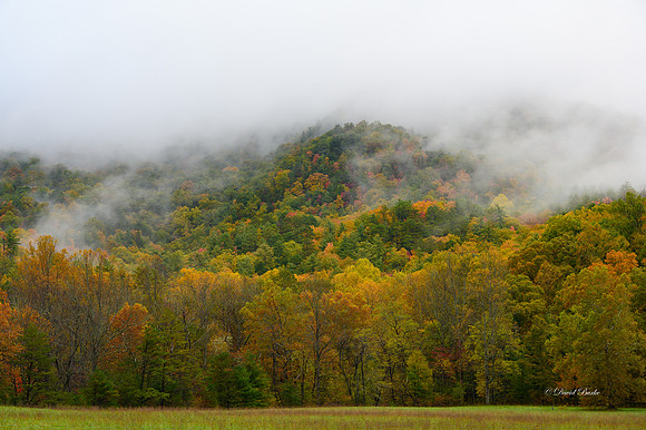 GSMNP 2021-2