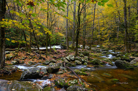 GSMNP 2021-70