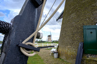 Kinderdijk 2021-22