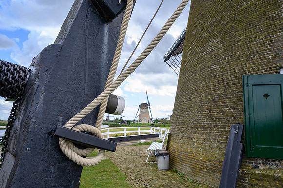 Kinderdijk 2021-22