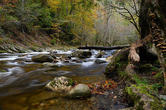 GSMNP 2021-51