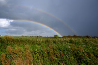 Kinderdijk 2021-46