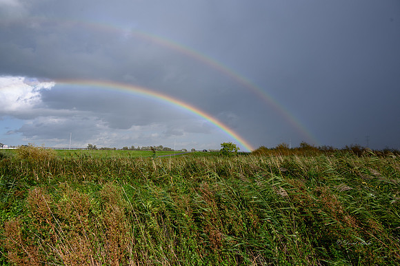 Kinderdijk 2021-46