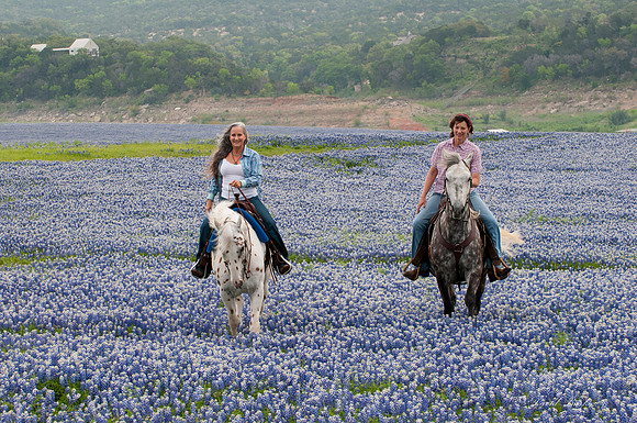 Bluebonnets Hill Country 2015-6