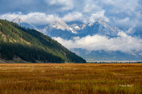 _NZ61744