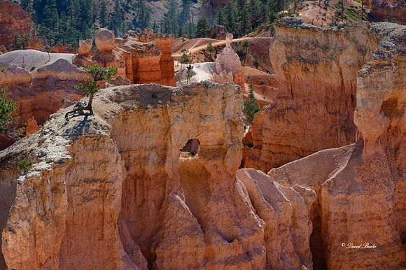Bryce Canyon NP Oct 2020-5
