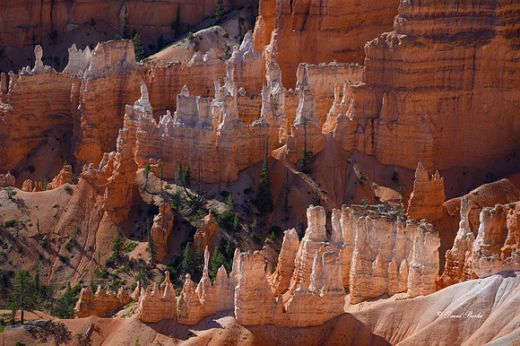 Bryce Canyon NP Oct 2020-9