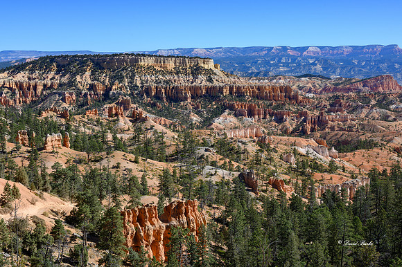 Bryce Canyon NP Oct 2020-3