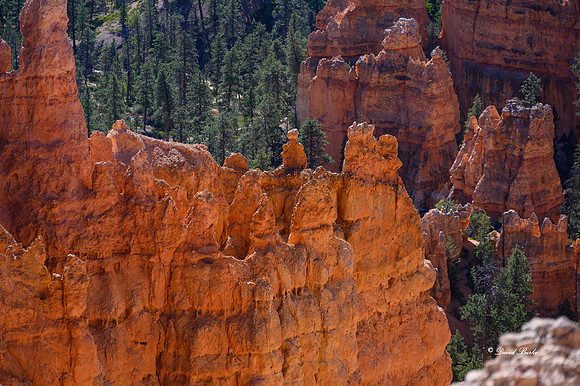Bryce Canyon NP Oct 2020-14