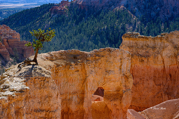 Bryce Canyon NP Oct 2020-12