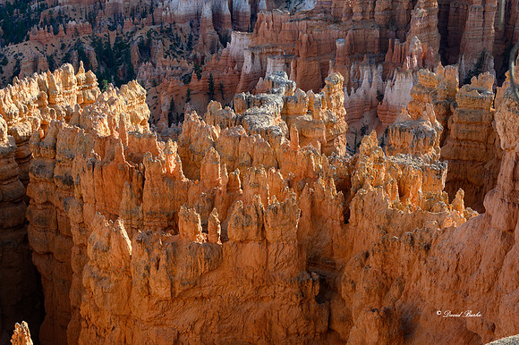 Bryce Canyon NP Oct 2020-27